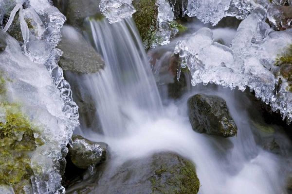 Washington, Olympic NP Icy winter waterfall